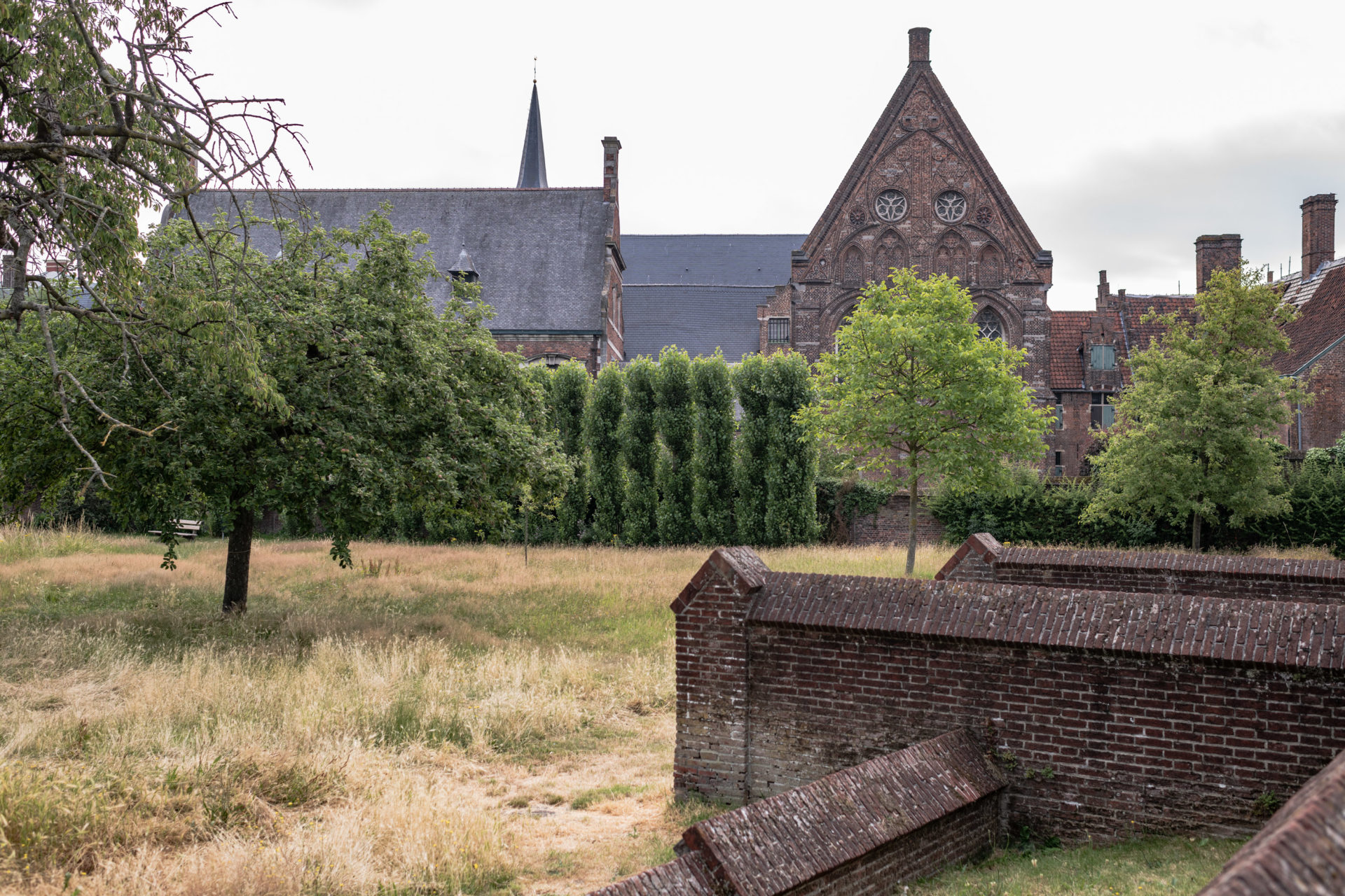 kus 20190712 bba gent 019 scaled